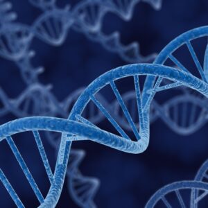 0610 IGCSE Level Biology